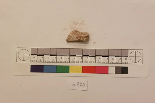 Stucco Fragment