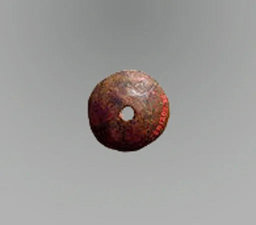 Disk