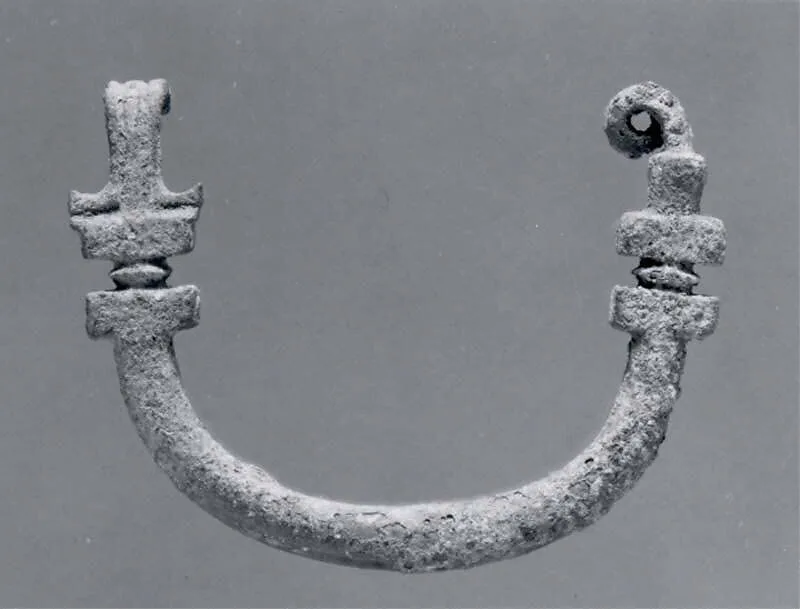 Fibula — Unknown