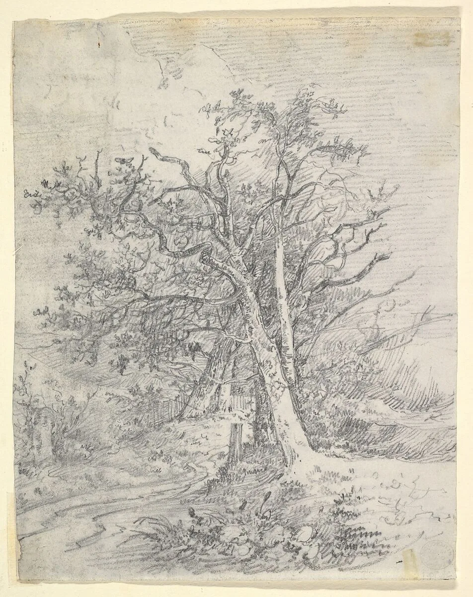 Study for Tree Trunks and Lane — John Crome