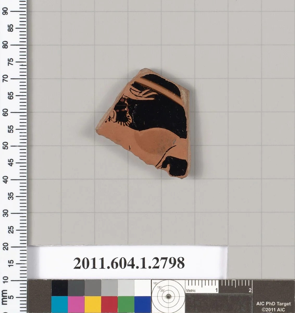 Terracotta fragment of a kylix (drinking cup) — Unknown