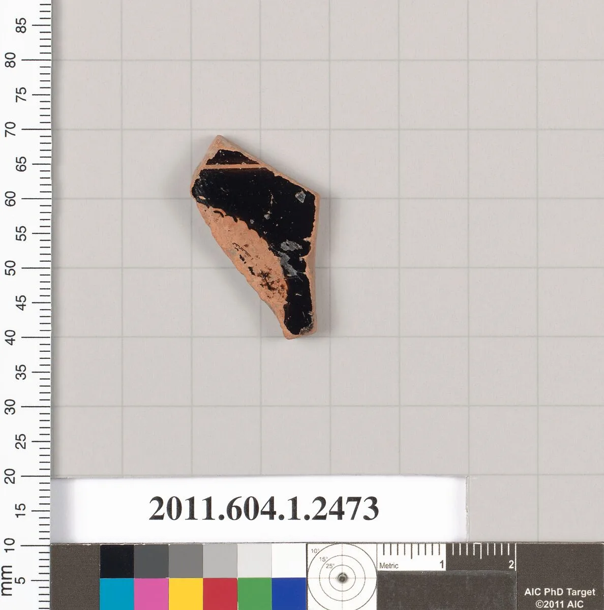 Terracotta fragment of a kylix (drinking cup) — Unknown