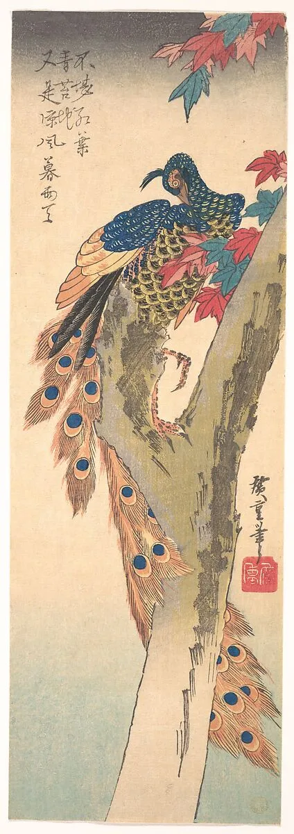 歌川広重画 楓に孔雀|A Peacock Perched on a Maple Tree — Utagawa Hiroshige