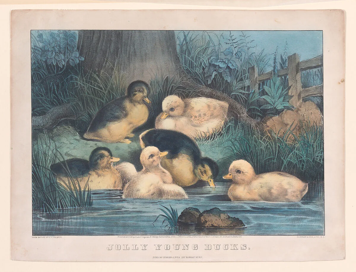 Jolly Young Ducks — Frances Flora Bond Palmer|Currier & Ives|Currier & Ives