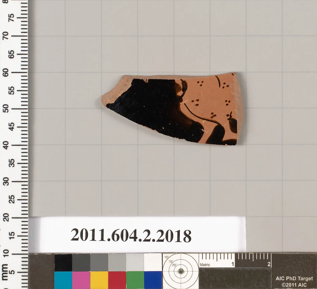 Terracotta fragment of an askos (flask with a spout and handle over the top) — Unknown