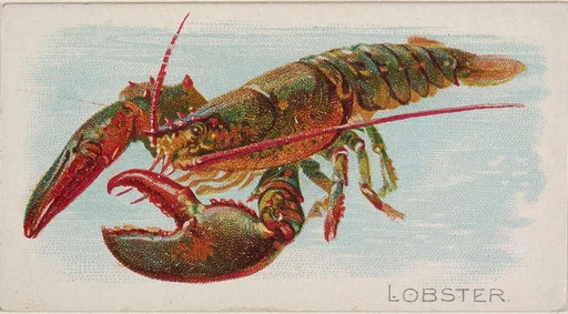 Lobster, from the Fish from American Waters series (N8) for Allen & Ginter Cigarettes Brands