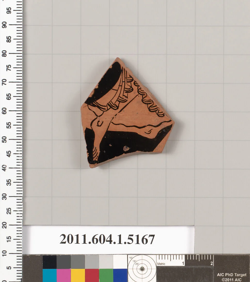 Terracotta fragment of a kylix (drinking cup) — Unknown