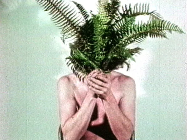 Aspen Projects — Dennis Oppenheim