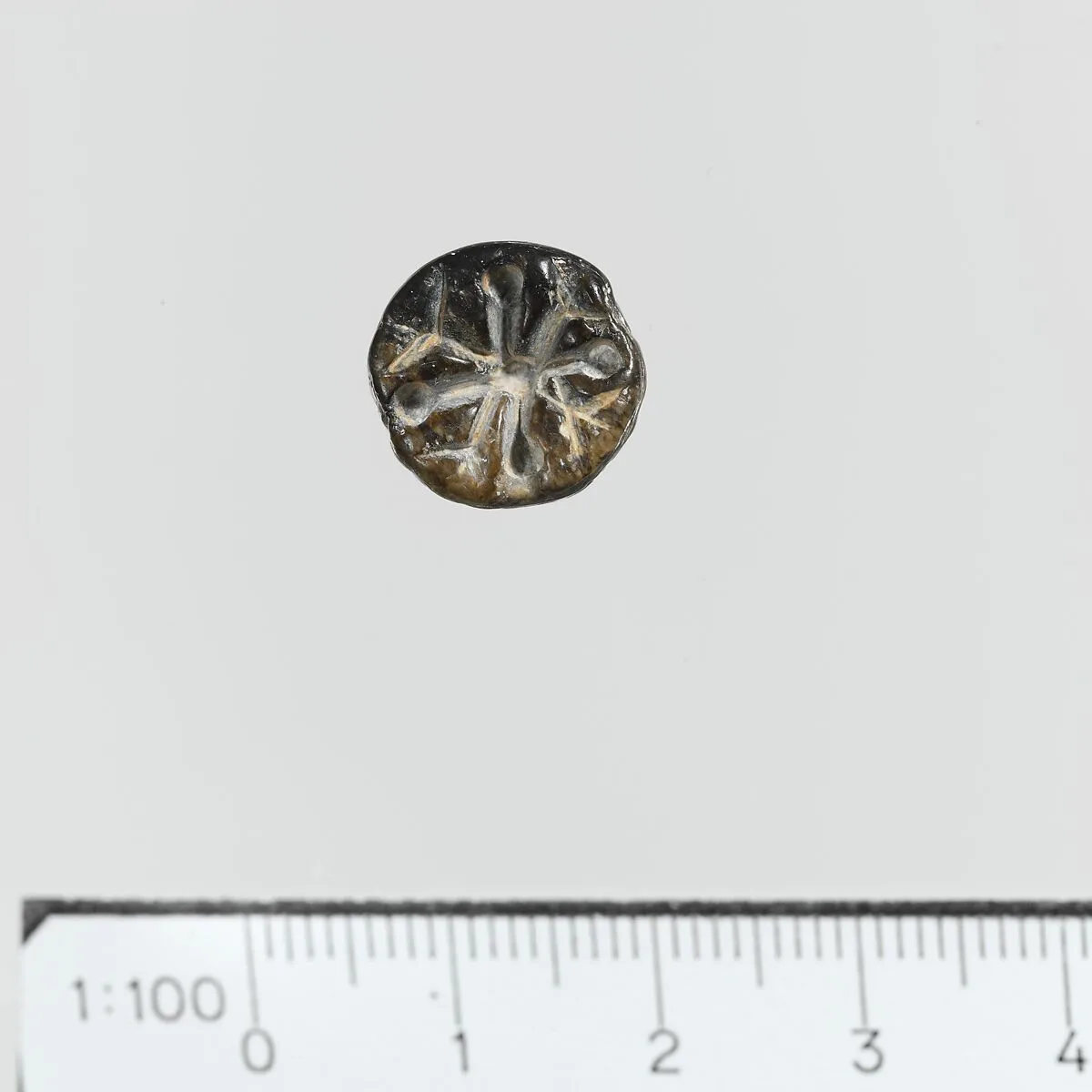 Seal, conoid — Unknown