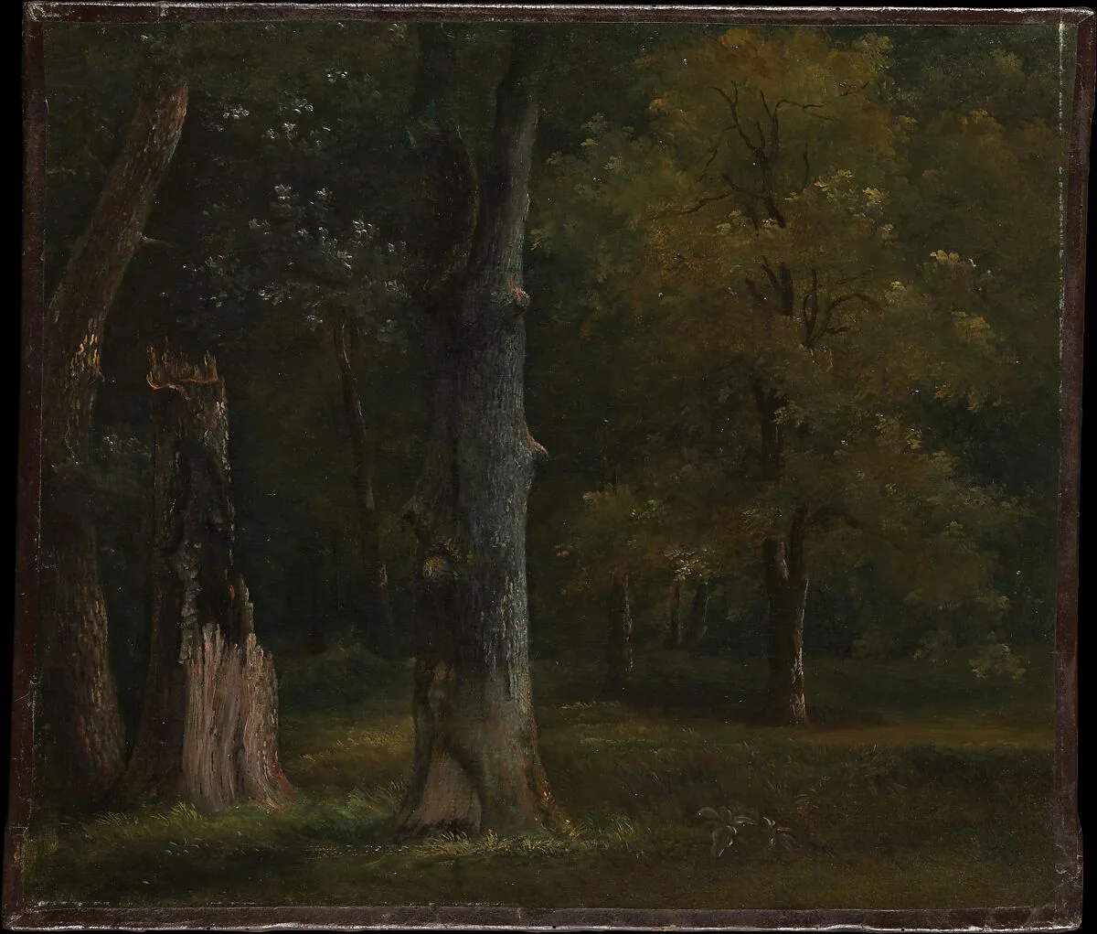 Trees in the Bois de Boulogne, Paris — Achille-Etna Michallon