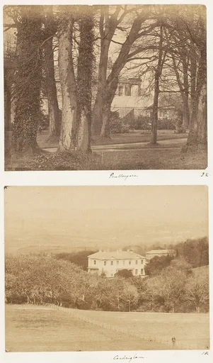 Penllergare; Coedriglan