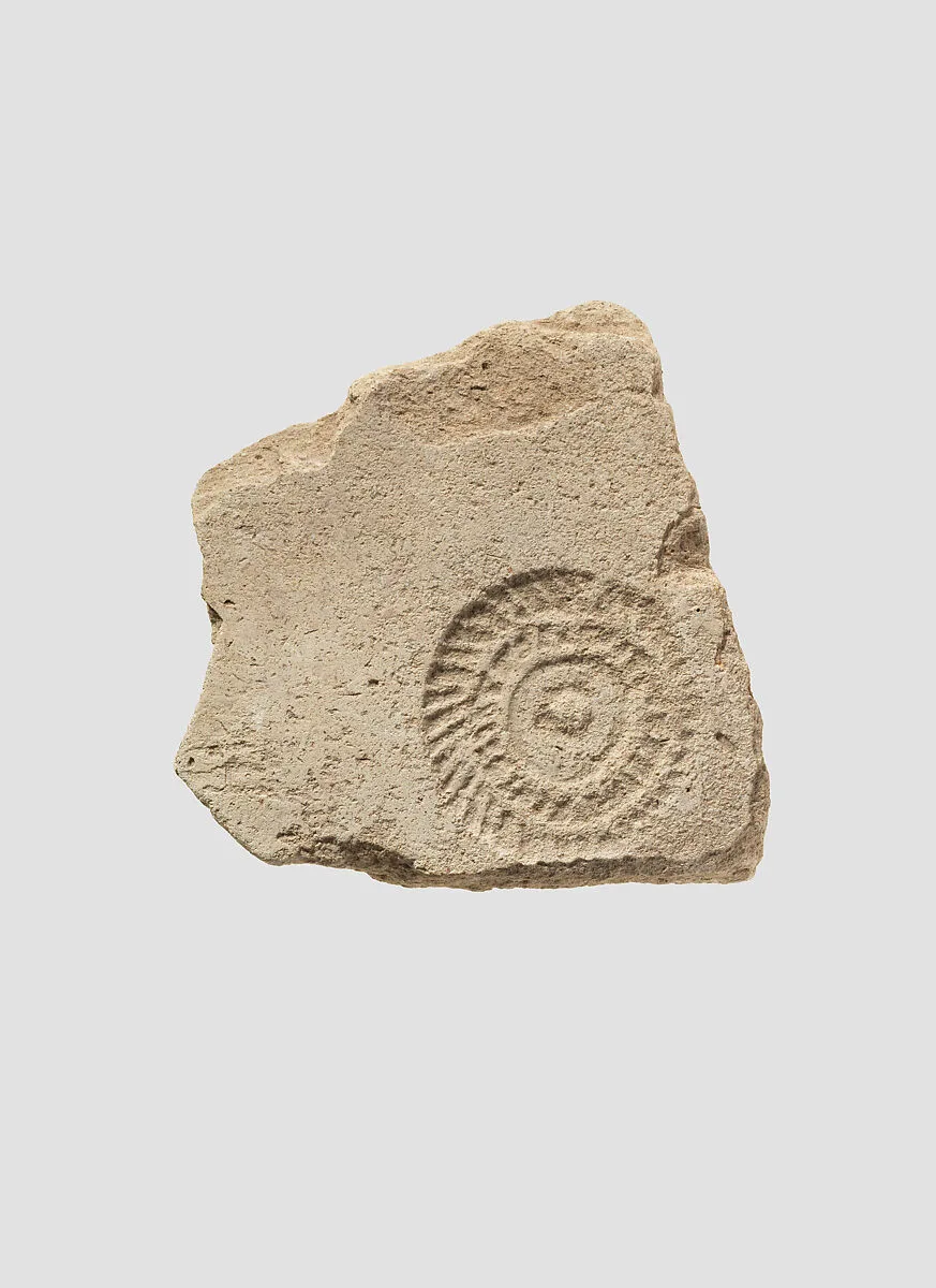 Sherd — Unknown