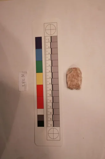 Stucco Fragment
