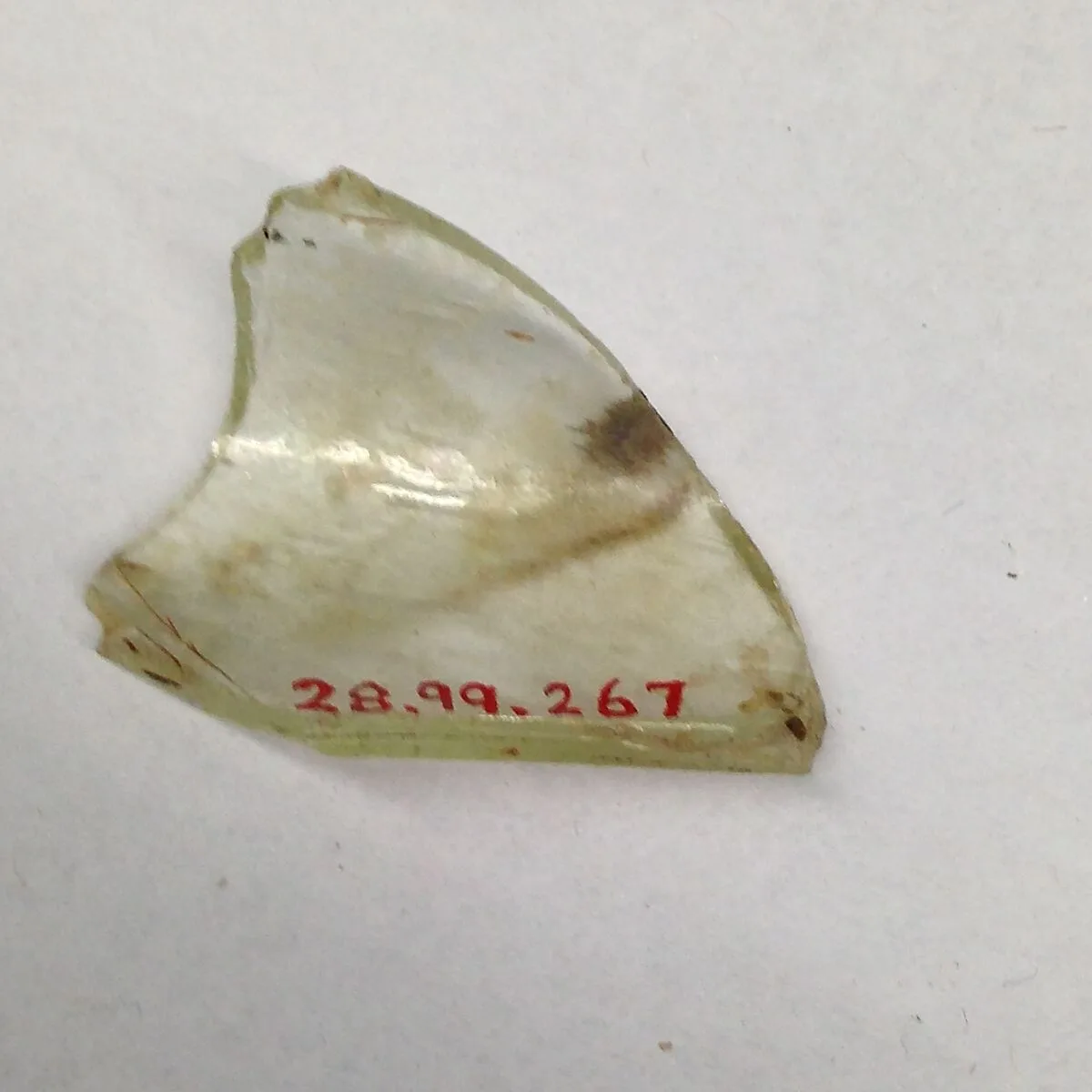 Fragment — Unknown