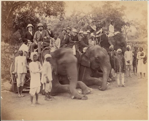 Elephant Group