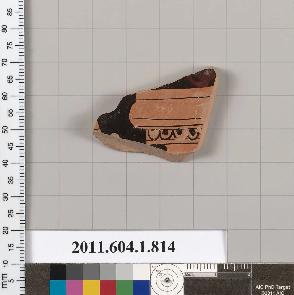Terracotta fragment of a kylix (drinking cup) — Unknown
