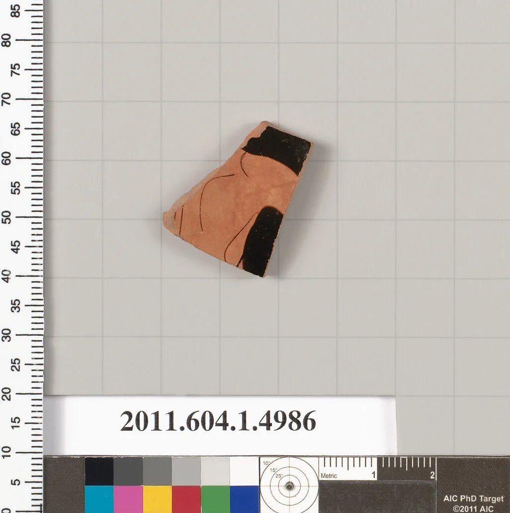 Terracotta fragment of a kylix (drinking cup) — Unknown