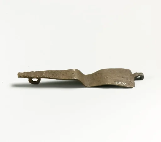 Hasp