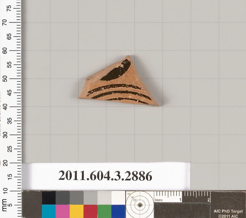 Terracotta fragment of a closed shape — Unknown
