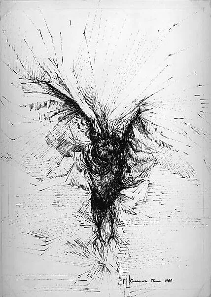 Bird — Aldo Casanova