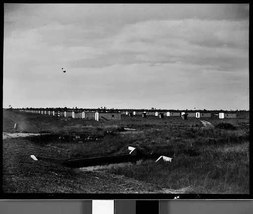 [Brick Buildings in Field, Florida]