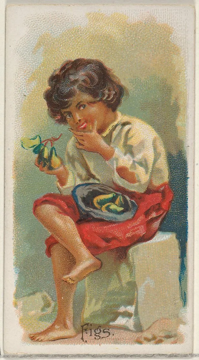 Figs, from the Fruits series (N12) for Allen & Ginter Cigarettes Brands — Allen & Ginter|George S. Harris & Sons