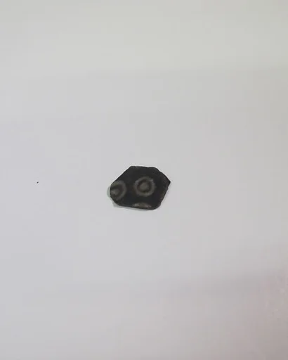 Roman mosaic glass vessel fragment