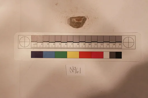 Stucco Fragment