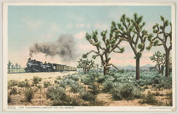 The "California Limited" on the Desert, No. 5512 — Detroit Publishing Company