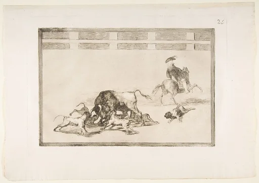Plate 25 from "La Tauromaquia": They loose dogs on the bull