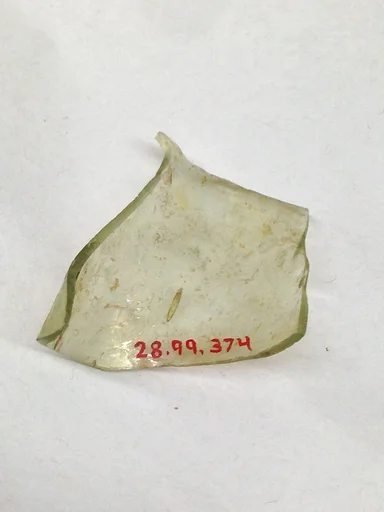 Fragment