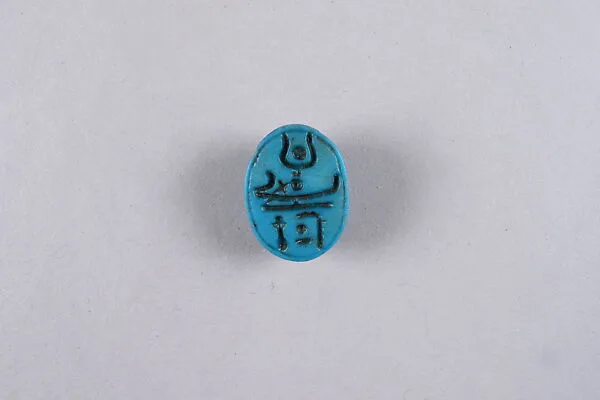Scarab with New Year's wish — Unknown