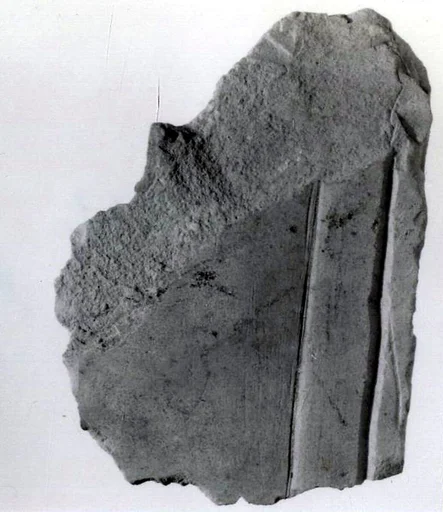 Relief fragment, tomb of Meketre