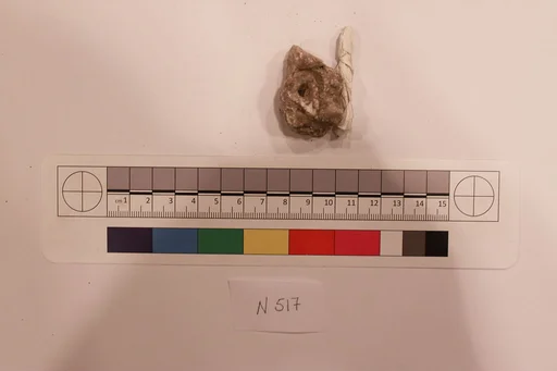 Stucco Fragment