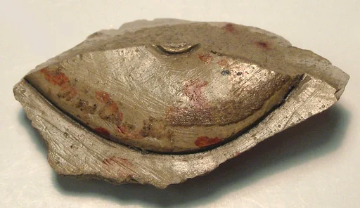 Raised relief fragment