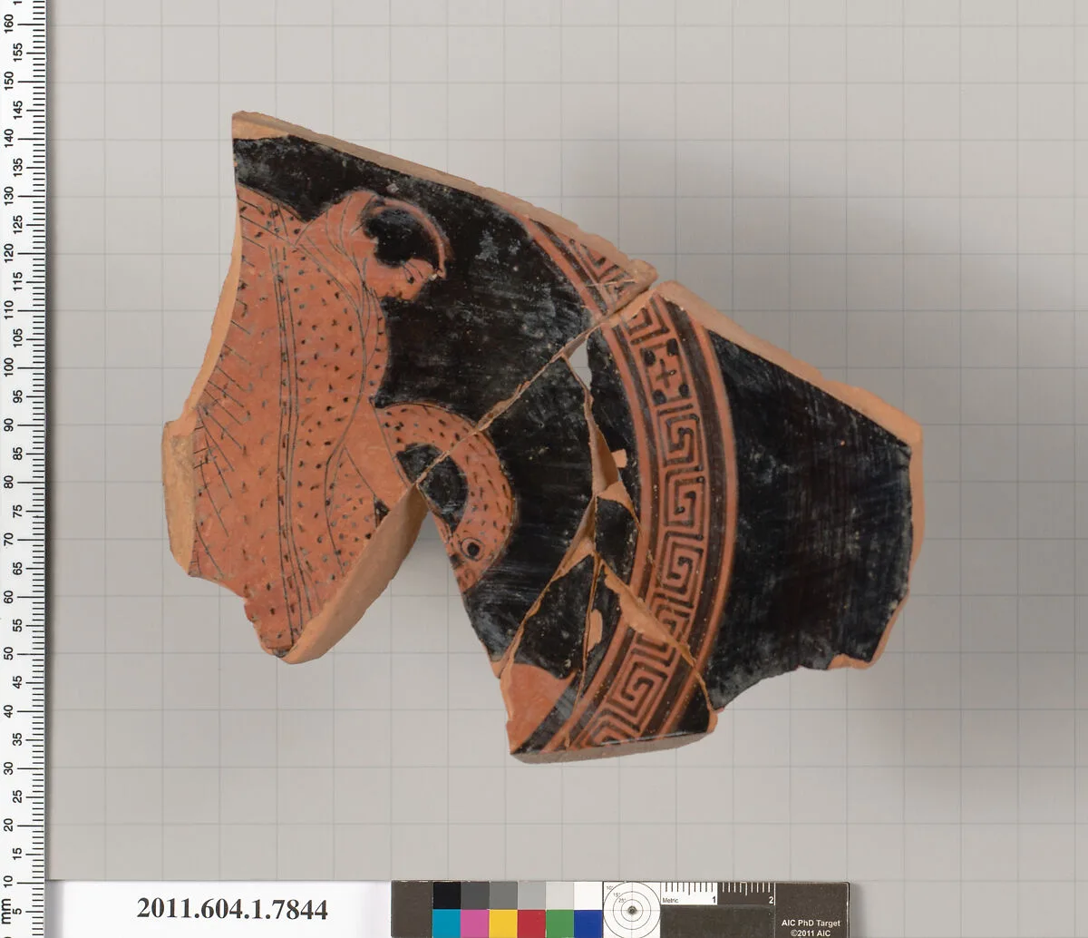 Terracotta fragment of a kylix (drinking cup) — Painter of London D 12