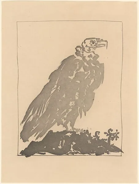 Vulture, from ¦Picasso: Original Etchings for the Texts of Buffon¦ — Pablo Picasso|Martin Fabiani, Paris|Roger Lacourière