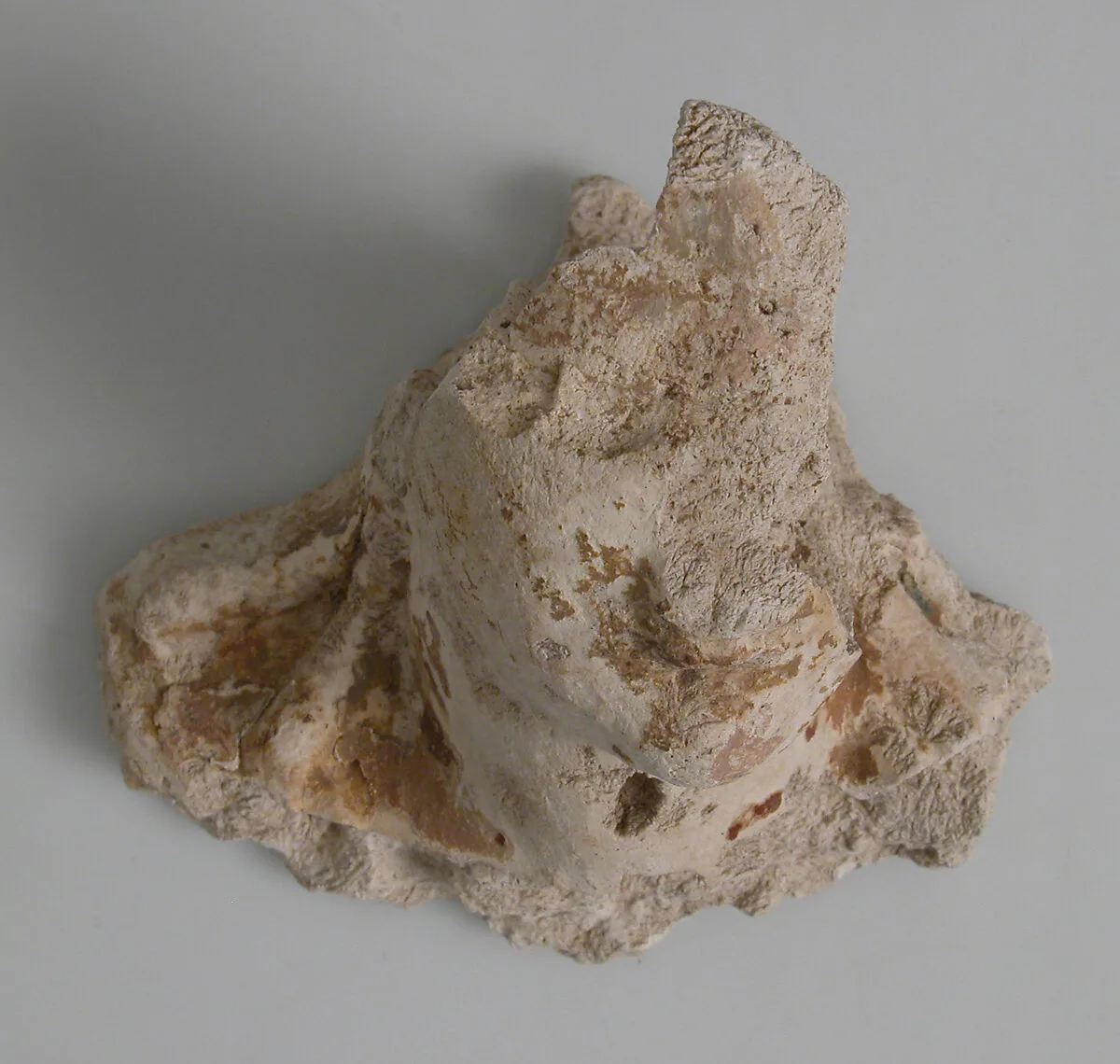 Head and Neck Fragment — Unknown