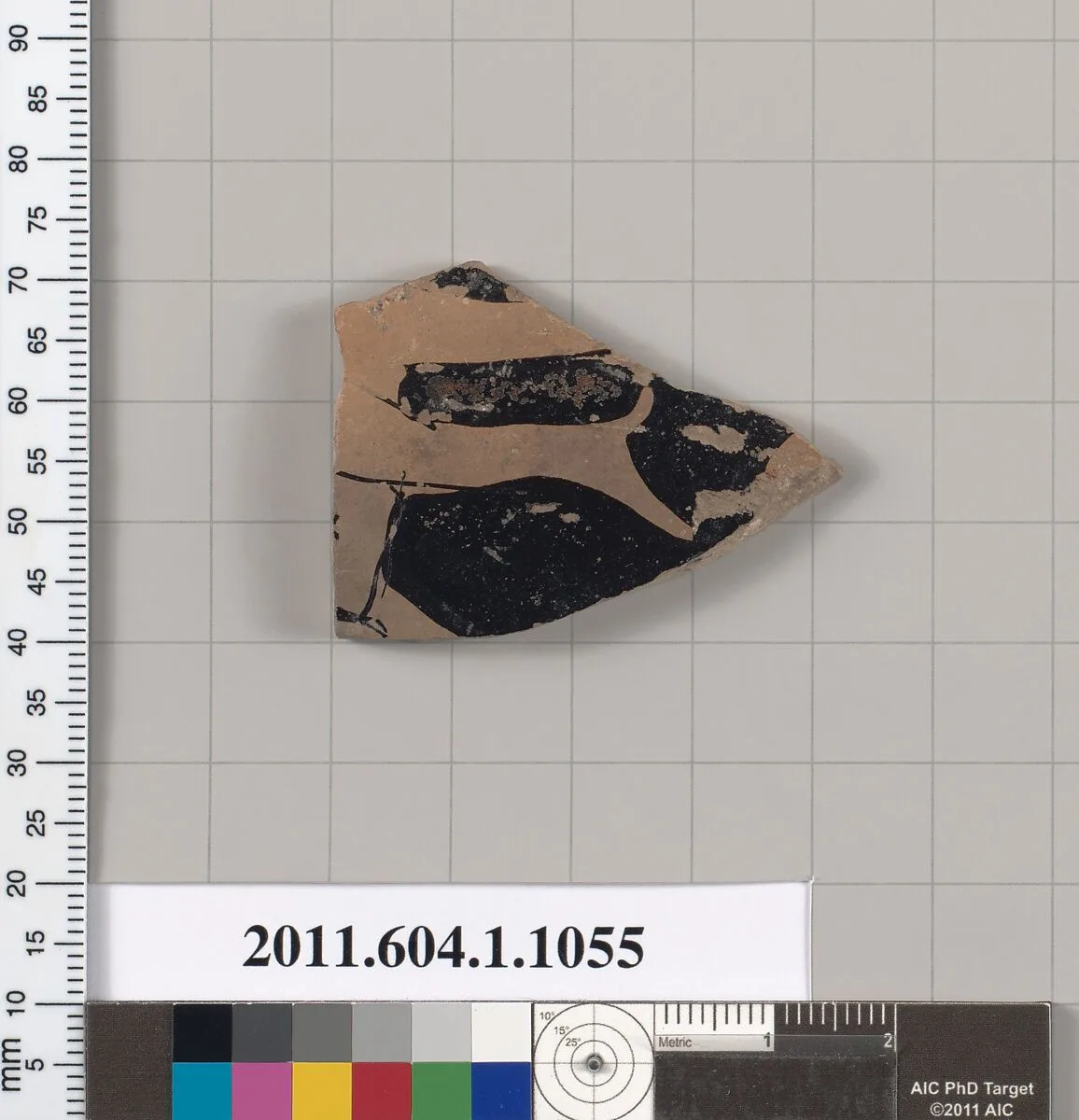 Terracotta fragment of a kylix (drinking cup) — Unknown