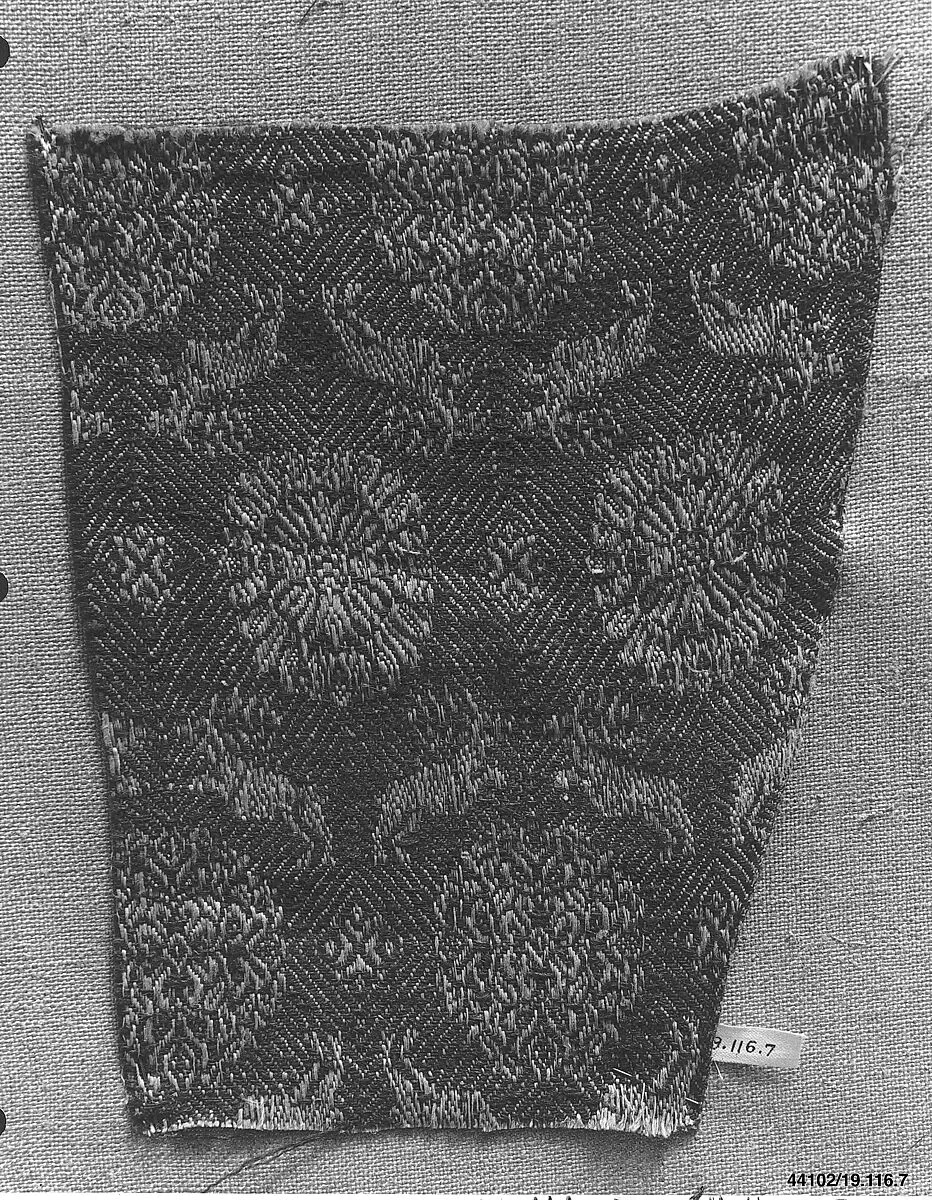 Fragment — Unknown