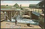 The Herring Weir, Mattapoisett, Mass.