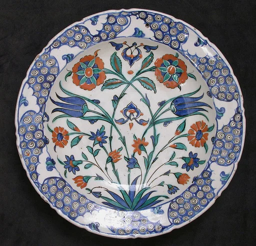 Dish