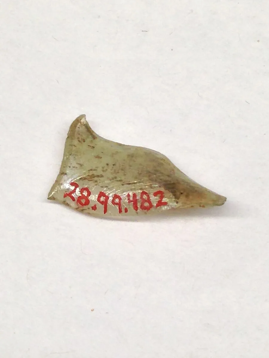 Fragment — Unknown