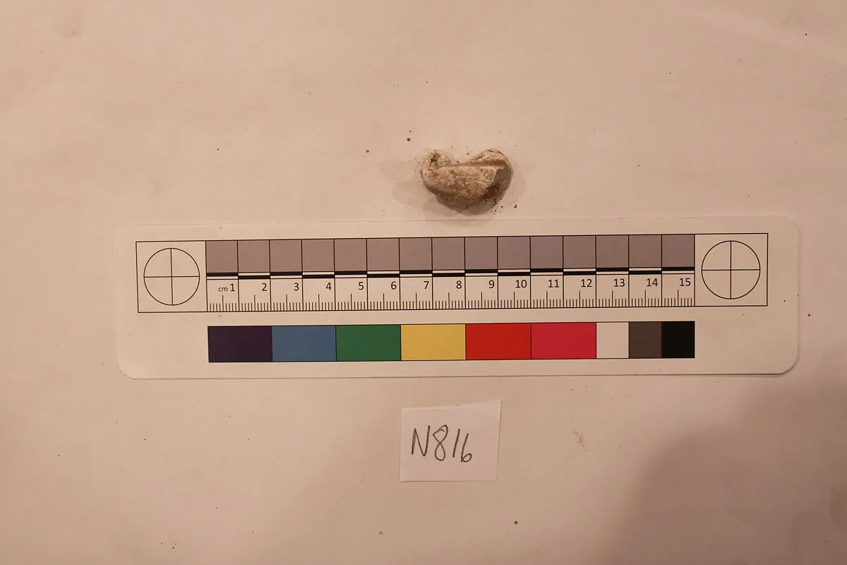 Stucco Fragment — Unknown