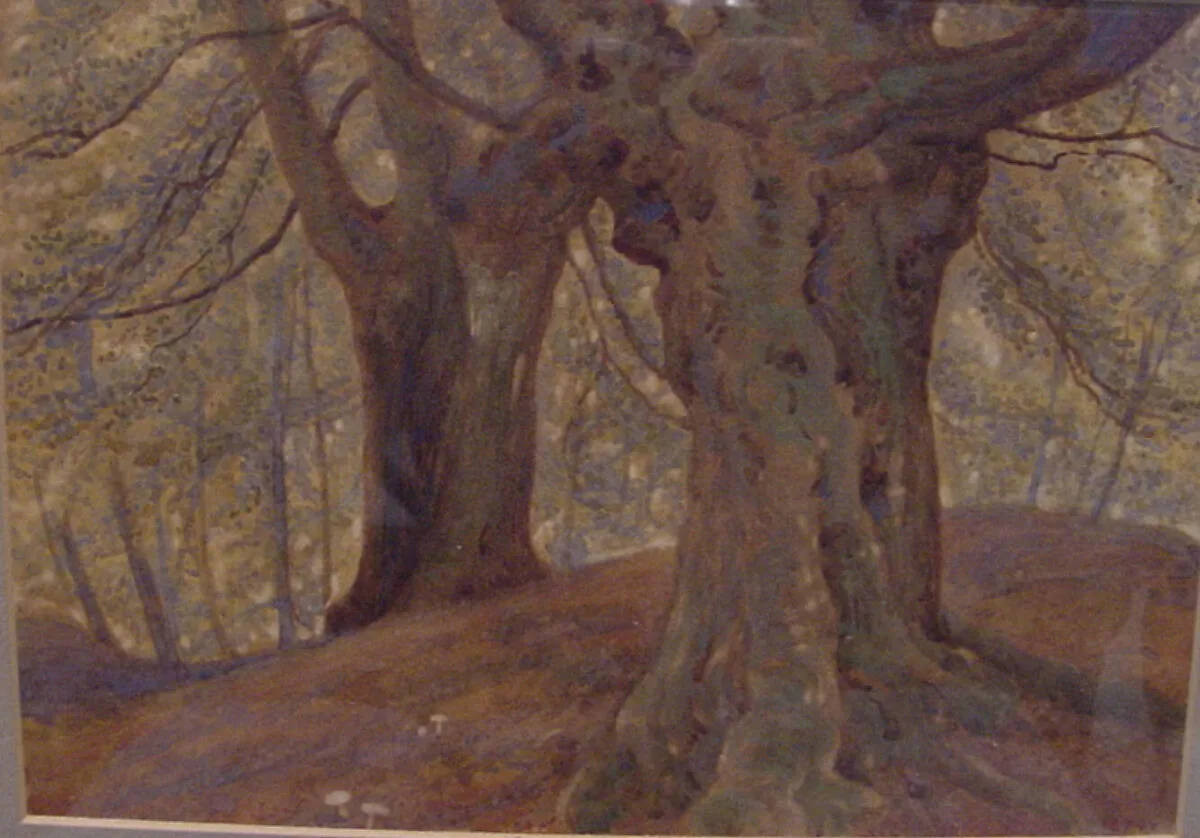 Burnham Beeches — Thomas Charles Farrer