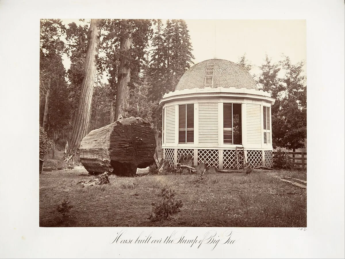 The House Built over the Stump of a Big Tree — Carleton E. Watkins