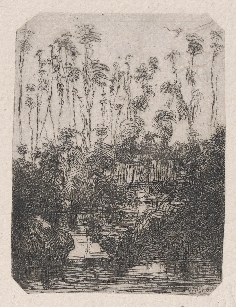 La Marais (The Swamp) — Rodolphe Bresdin