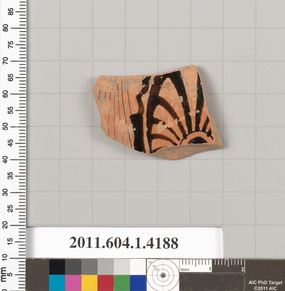 Terracotta fragment of a kylix (drinking cup) — Unknown