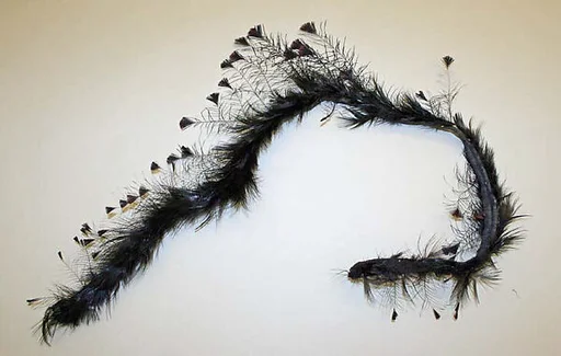Feather