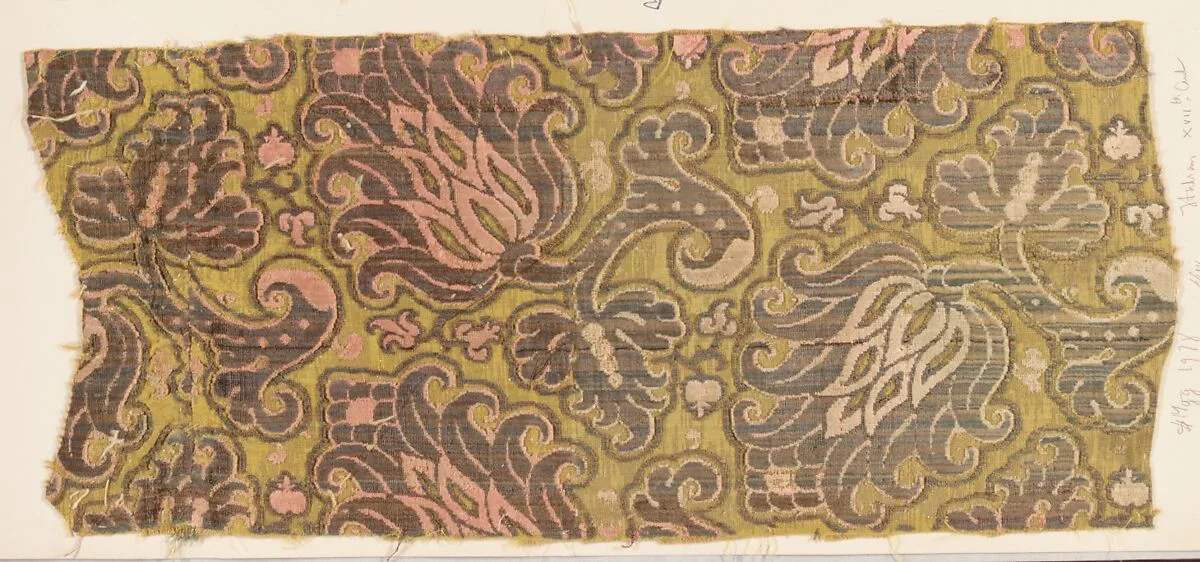 Fragment — Unknown